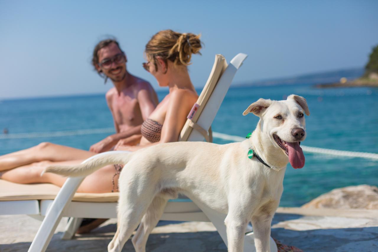 Valamar Camping Jezevac Крк Екстер'єр фото
